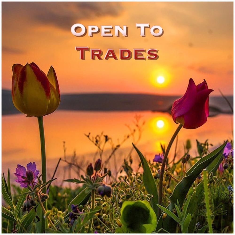 🌷Open To Trades 🌷
